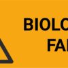Biologisk fare - ISO 7010 - Bilde 2