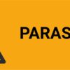 Parasailing – ISO 7010 - Bilde 2