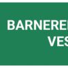Barneredningsvest – ISO 7010 - Bilde 2