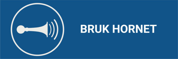 Bruk hornet – ISO 7010 - Bilde 2